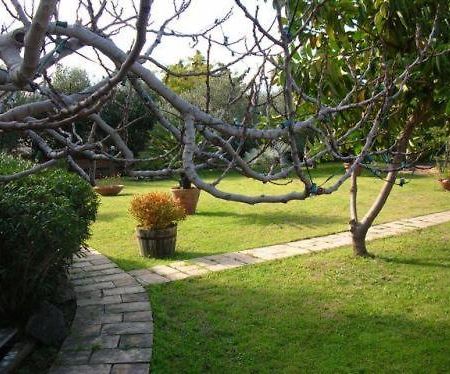 Villa Chiarenza Maison D'Hotes ジャルディーニ・ナクソス エクステリア 写真
